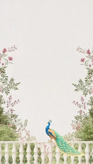 Illustrated peacock on a marble balustrade